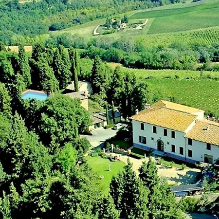 With Vineyard Vibes