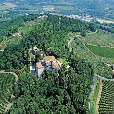 With Vineyard Vibes * 산카시아노인발디파사